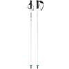Head Unisex Adult Worldcup SL - Bastoncini da Sci, Bianco/Nero/Blu velocità, 120