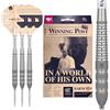 Target Darts Raymond Van Barneveld RVB 25 Year Edition 95% Set di Freccette con Punta d'Acciaio in tungsteno Swiss Point