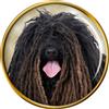 Ungherese Puli Cane Distintivo di Lapel Pin