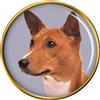 Badge Spilla Per Cane Basenji