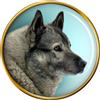 Norvegese Elkhound Cane Distintivo di Lapel Pin