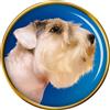 Sealyham Cane Terrier Distintivo di Lapel Pin