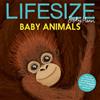 Sophy Henn Lifesize Baby Animals (Tascabile)