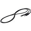 Eizo CP200-BK Eizo Kabel USB-C -> DisplayPort Signal Kabel 2m black
