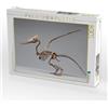 CALVENDO Puzzle, scheletro di pteranodon con apertura delle ali e profilo a pettine | Un elegante scheletro del Pteranodon con il tipico pettine per la testa e ampio... · 1000 pezzi · Dimensioni da disteso 64 ×