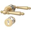 Amerdeco Maniglia per porta interna ottone spazzolato con rosetta rotonda, set maniglia PZ con cilindro europeo, design classico per porte d'ingresso e interne UK0100
