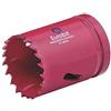 Eurobit Sega a Tazza Bimetallica con denti in Acciaio HSS, mm 79