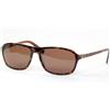 Seraphin DUNBERRY 8864 Marrone Tartaruga Occhiali Da Sole W/ Lenti 57-16-140mm
