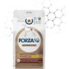 Generico Forza 10 Active Intestinal Colon Fase 2, Alimento con Agnello e Sorgo Bianco per Cani Adulti, 1 confezione da 1,5 kg
