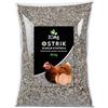 ZOMAPET OSTRIK Mangime Galline Ovaiole a base di scaglie d'ostrica 3/5mm 20Kg, Grit per galline ovaiole specifico per uova più sane, mangime uccelli selvatici - Made in Italy