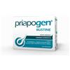 SHEDIR PRIAPOGEN 16BUST - SHEDIR - 945090900