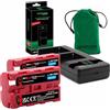 PATONA Set 2X NP-F550 3500mAh + Caricabatterie PD Dual USB-C, LCD QC/PD 3.0 | Ricarica rapida da alimentatore 20W, compatibile con Sony NP-F750/F950/F970, videocamere, indicatori LED, lampade, luci video