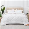 Aisbo Piumino Letto Singolo 450 gr/mq Invernale, Piumone 135x200 cm letti Singoli, Trapunta in Microfibra Sintetica,Chaud e Morbido Bianco