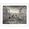 ARTTOR Stampa da Parete 50x40 cm Senza Cornice Bianco e Nero Paesaggi - 4928 - P2X | Ponte Molo Seppia Poster da Parete Poster Decorativo Decorazione da Parete Arte Poster Moderno Poster Decorativo ARTTOR