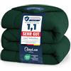 CozyLux Piumino Letto Singolo 155x220 cm Verde smeraldo per 4 Stagioni | Piumone Letto in Microfibra 300 g/m², Oeko-Tex 100, Trapunta Invernale con quattro occhielli, Lavabile in Lavatrice