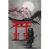 HMDKHI Empire Interactive - Poster giapponese Bushido, ninja Samurai, personaggi giapponesi e poster Fuji con cornice (JP-03, 1 pezzi, 30 x 40 cm)