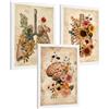 Nacnic Set Di 3 Stampe Anatomia Umana Floreale Vintage Poster E Quadri Con Polmoni Gabbia Toracica E Cervello Stile Botanico Antico Decorazione Da Parete Medica Dimensione A3 Cornice Bianca