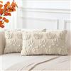 Artscope 2 Pezzi Halloween Federe in Lana Corta Velluto Copricuscini Morbido Decorativo autunnale Fodere per Cuscino Lusso Stile per Divano Camera da Letto Zucca Foglie di Acero Beige 40x40 cm