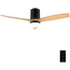 Cecotec Ventilatore da Soffitto con Luce Energysilence Aero 5600 Classic B. | Motore DC 40W, 3 Pale, Luce LED, Timer, 6 Velocità, Modalità Inverno/Estate, Motore Corrente Continua