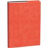 Quo Vadis 003714Q Agenda RIGIRO Lingua italiana Anno 2027 Colore Rosa corallo Formato 9x12,5 cm Settimanale 13 Mesi Dicembre-Dicembre Carta Bianca Rubrica Amovibile Copertina Amovibile Sintetico Roma