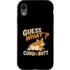 Funny Corgi Dog Designs Custodia per iPhone XR Guess What Corgi Butt, divertente disegno umoristico a forma di cane Corgi Lover