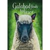 Grace Olson Galahad finds his Voice (Tascabile)