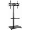 Gembird Supporto monitor Gembird TVS-75S-02 Carrello con ruote per uno schermo 37-75'' max 40kg Nero [TVS-75S-02]