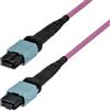 StarTech.com Cavo a fibre ottiche StarTech.com OS2MTP12AOFNP10M cavo InfiniBand e in fibra ottica 10 m MPO/MTP Viola [OS2MTP12AOFNP10M]