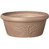Arcadia Garden Products PSW Pot Collection - Vaso basso per piante grasse, bonsai, giardini fatati, erbe, 25,4 cm, tortora