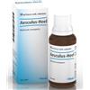 GUNA SPA HEEL AESCULUS GOCCE 30 ML