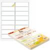 Double Dragon, Etichette Adesive A4 per Indirizzi, Carta Adesiva, 16 Etichette per Foglio, 100 Fogli, 99.1 x 34mm (1600 Etichette)