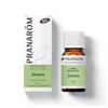 PRANAROM Zenzero 5 ml