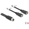 DELOCK M12 Kabel A-kodiert 8 Pin Bu zu 2 x USB 2.0 Typ Bu 2m