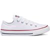 Converse Chuck Taylor Junior All Star Seasonal White