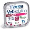 Monge Vet Solution Dog Recovery Vaschetta 150gr