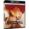 Bugonia [4K UHD, Blu-ray] (2025)