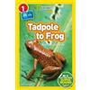 Shira Evans National Geographic Kids Readers: Tadpole to Frog (L1/Co (Tascabile)