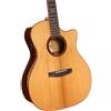 Cort Gold Series Gold-A10 Cocobolo