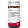 WALA ITALIA AURUM APIS REGINA 20G GL WALA - WALA ITALIA - 800597128