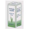 ECHINACEA ANGUST 60ML TM - - 800663104
