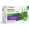 ARKOFLUIDI CARCIOFO+ALOE V 20F - - 985833615