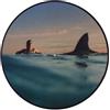 Dua Lipa Radical Optimism Picture Disc (Vinyl LP)