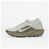 Nike Sneakers NIke ACG Pegasus Trail GORE-TEX Light Silver/ Light Silver-Light Army
