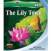 Magic Play The Lily Town (Blu-ray) n/a Charlie Chu Elvis Lu