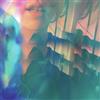 Tiny Vipers Laughter (CD) Album