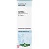 ERBA VITA GROUP SPA SPIREA ULMARIA TINTURA IDROALCOLICA 50 ML EBV