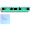 Mooer Interruttore a pedale per chitarra Mooer GWF4 Green GTRS per il controllo deg...