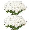 VEVOR Fiori Artificiali, 60 Pezzi di Rose Finte in Schiuma dall'Aspetto Realistico alla Rinfusa, Finte Bianche con Steli per Fiori da Sposa Fai da Te, Centrotavola per Casa Decorazioni