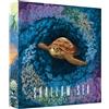 Bad Comet Shallow Sea Nesting Season Expansion Board Game Expansion