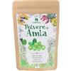 Erbavoglio Polvere di Amla Bio - 200 g - Alimento biologico - Ricca di vitamina C e antiossidanti, ideale per potenziare il sistema immunitario e favorire la salute della pelle.
